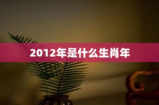 2012年是什么生肖年