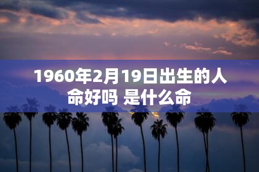 1960年2月19日出生的人命好吗 是什么命