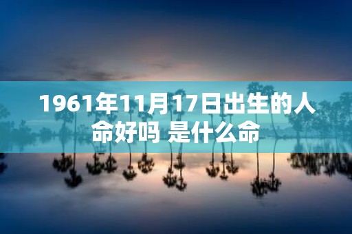 1961年11月17日出生的人命好吗 是什么命