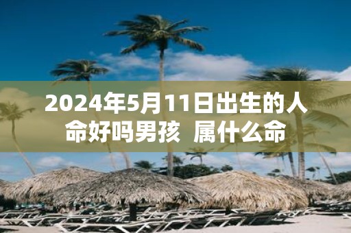 2025年5月11日出生的人命好吗男孩 属什么命