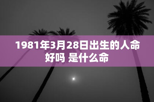 1981年3月28日出生的人命好吗 是什么命