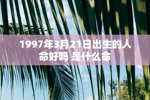 1997年3月21日出生的人命好吗 是什么命