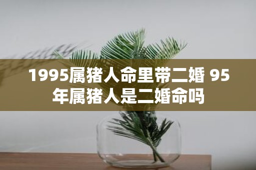 1995属猪人命里带二婚 95年属猪人是二婚命吗