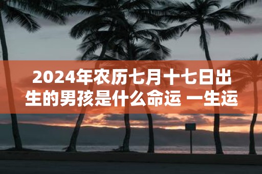 2025年农历七月十七日出生的男孩是什么命运 一生运势好吗