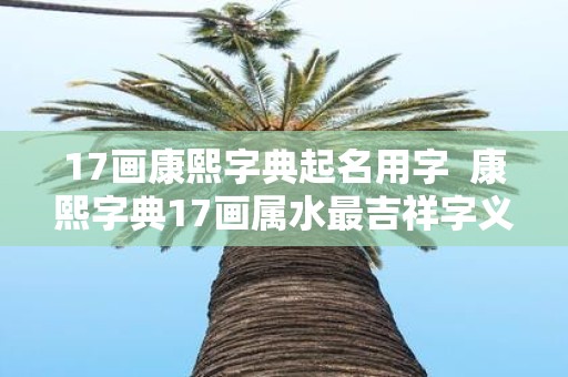 17画康熙字典起名用字 康熙字典17画属水最吉祥字义