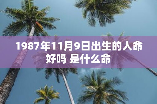 1987年11月9日出生的人命好吗 是什么命
