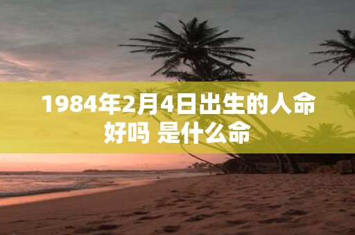 1984年2月4日出生的人命好吗 是什么命
