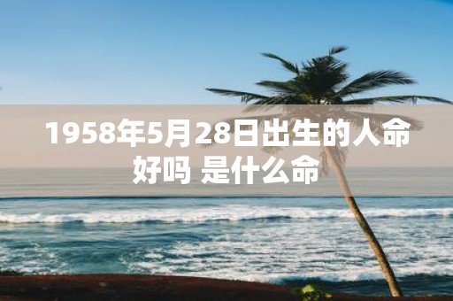 1958年5月28日出生的人命好吗 是什么命