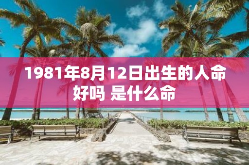 1981年8月12日出生的人命好吗 是什么命