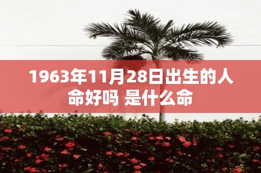 1963年11月28日出生的人命好吗 是什么命