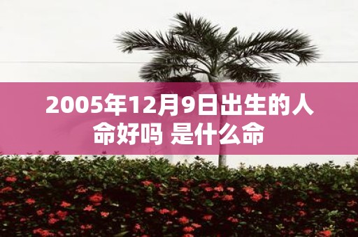 2005年12月9日出生的人命好吗 是什么命