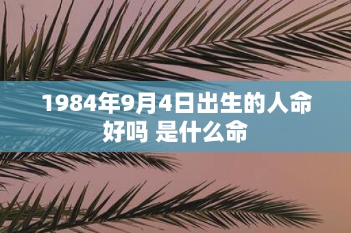1984年9月4日出生的人命好吗 是什么命