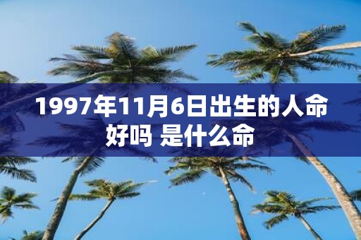 1997年11月6日出生的人命好吗 是什么命