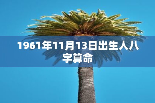 1961年11月13日出生人八字算命