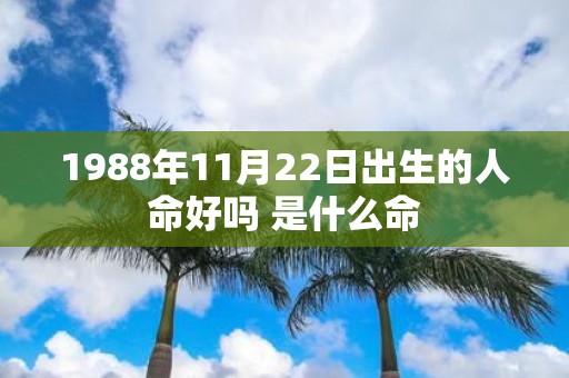1988年11月22日出生的人命好吗 是什么命