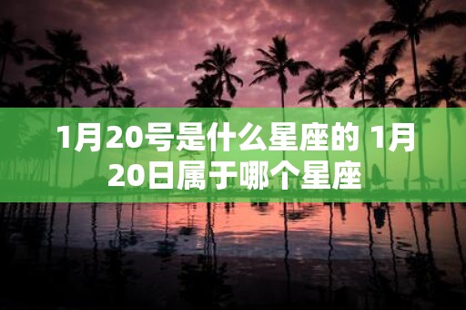 1月20号是什么星座的 1月20日属于哪个星座