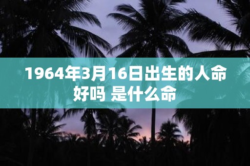 1964年3月16日出生的人命好吗 是什么命
