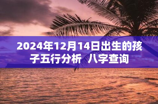 2025年12月14日出生的孩子五行分析 八字查询