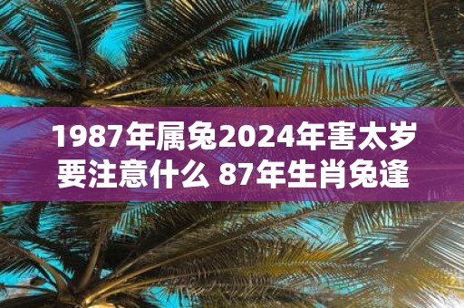 1987年属兔2025年害太岁要注意什么 87年生肖兔逢蛇年运气如何