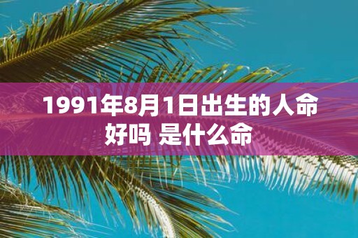 1991年8月1日出生的人命好吗 是什么命