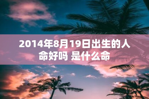 2014年8月19日出生的人命好吗 是什么命