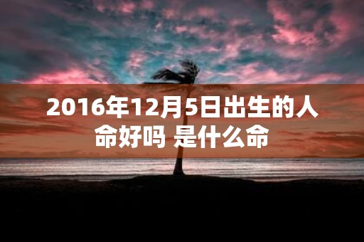 2016年12月5日出生的人命好吗 是什么命