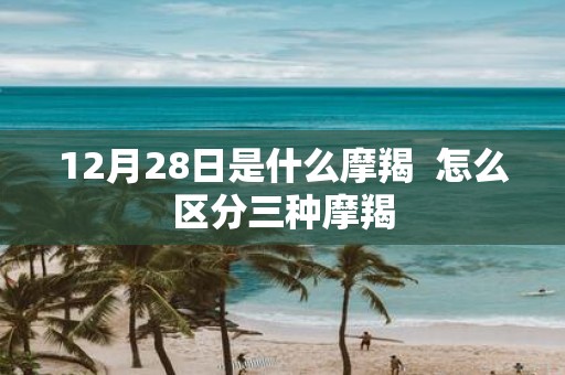 12月28日是什么摩羯 怎么区分三种摩羯