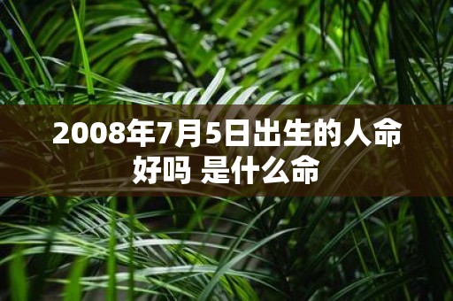 2008年7月5日出生的人命好吗 是什么命