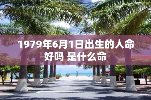 1979年6月1日出生的人命好吗 是什么命