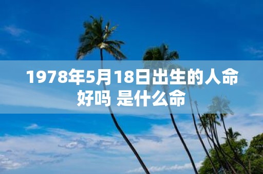 1978年5月18日出生的人命好吗 是什么命