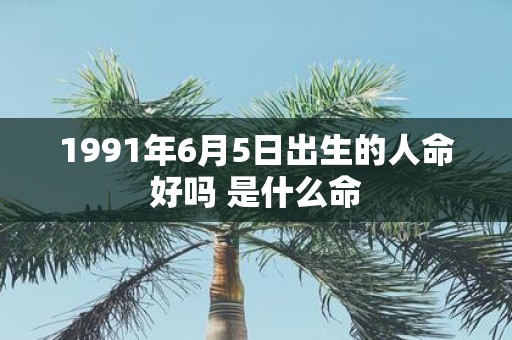 1991年6月5日出生的人命好吗 是什么命
