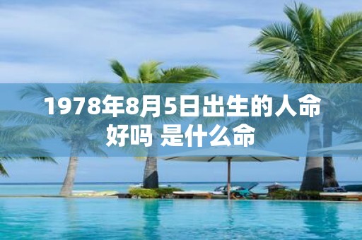 1978年8月5日出生的人命好吗 是什么命