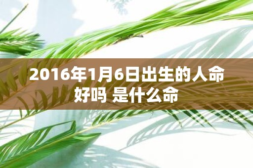 2016年1月6日出生的人命好吗 是什么命