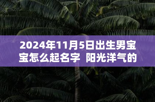 2025年11月5日出生男宝宝怎么起名字 阳光洋气的名字大全