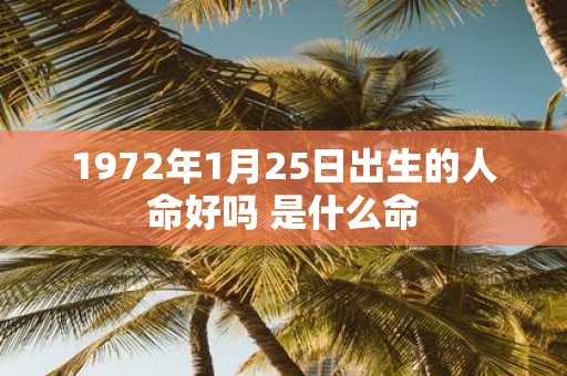 1972年1月25日出生的人命好吗 是什么命