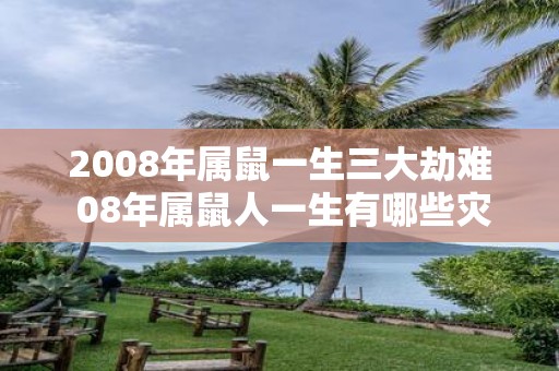 2008年属鼠一生三大劫难 08年属鼠人一生有哪些灾难