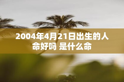 2004年4月21日出生的人命好吗 是什么命