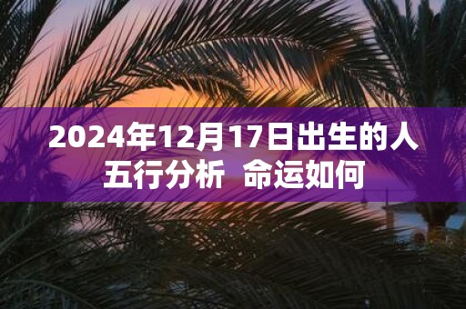 2025年12月17日出生的人五行分析 命运如何