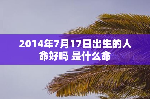 2014年7月17日出生的人命好吗 是什么命