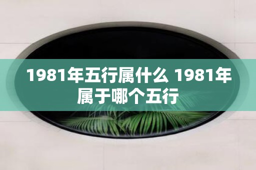 1981年五行属什么 1981年属于哪个五行