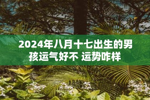 2025年八月十七出生的男孩运气好不 运势咋样