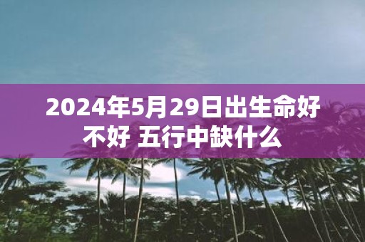 2025年5月29日出生命好不好 五行中缺什么