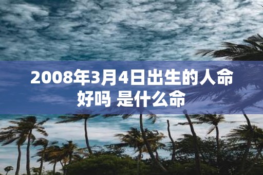 2008年3月4日出生的人命好吗 是什么命