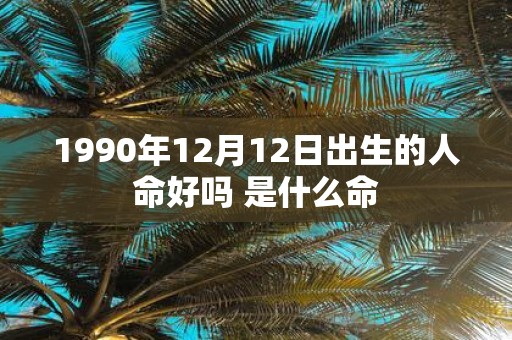 1990年12月12日出生的人命好吗 是什么命