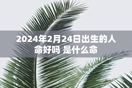 2025年2月24日出生的人命好吗 是什么命