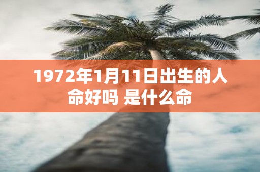 1972年1月11日出生的人命好吗 是什么命