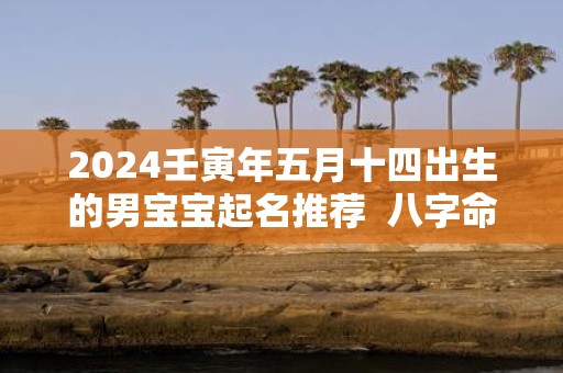 2025壬寅年五月十四出生的男宝宝起名推荐 八字命运