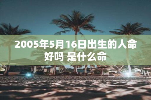 2005年5月16日出生的人命好吗 是什么命