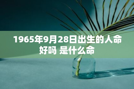 1965年9月28日出生的人命好吗 是什么命