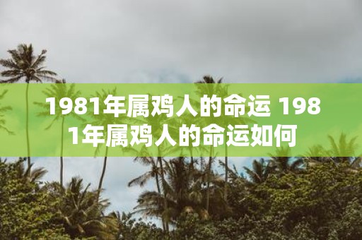 1981年属鸡人的命运 1981年属鸡人的命运如何